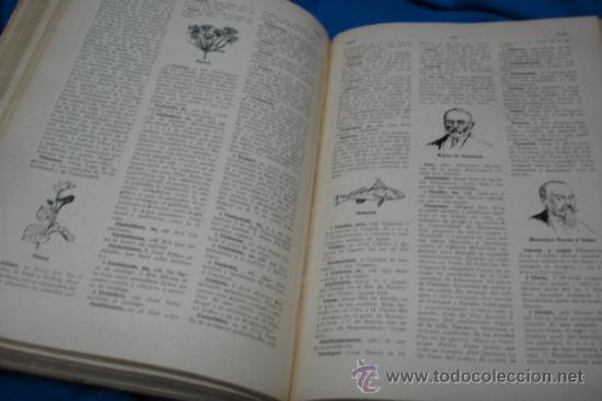 Enciclopedias antiguas: NOVÍSIMO DICCIONARIO DE LA LENGUA CASTELLANA - EDICIONES HYMSA - PRINCIPIO DEL SIGLO PASADO - Foto 5 - 37049795